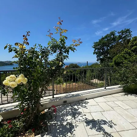 Ardura Shimmering On The Sea